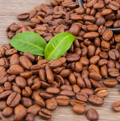 Coffee composition