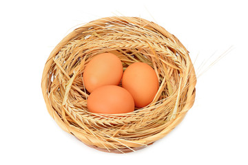 Chicken eggs in basket isolated on white background