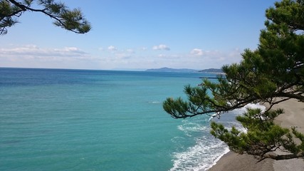 松と海