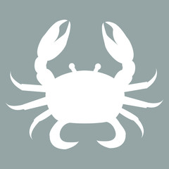 Stylized icon of crab in white on a colored background