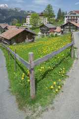 Fototapeta na wymiar Rural scene of Wengen, Swiss