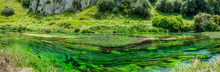 Blue Spring which is located at Te Waihou Walkway,Hamilton New Zealand. It internationally acclaimed supplies around 70% of New Zealand's bottled water because of the pure water.
