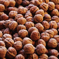 Many walnuts in brown shells