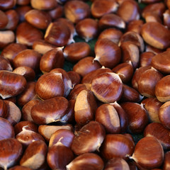 Many sweet chestnut fruit
