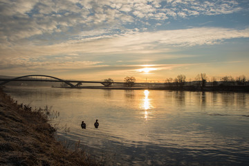 Waldschlösschenbrücke Dresden Sonnenaufgang