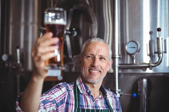 Smiling brewer examining beer glass at brewery