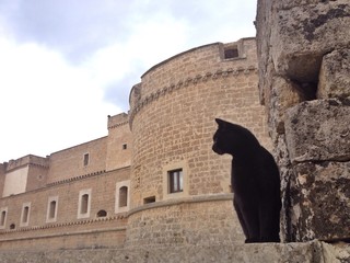 Cat castello corigliano d'otranto