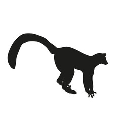 Lemur vector silhouette