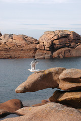 Côte de granit rose