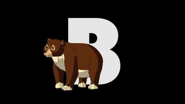 Letter B and Bear (foreground)
Animated animal alphabet. HD footage with alpha channel. Animal in a foreground of letter.