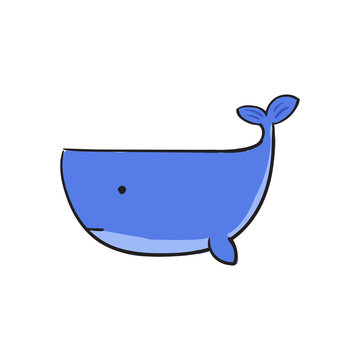 Cute Whale vector