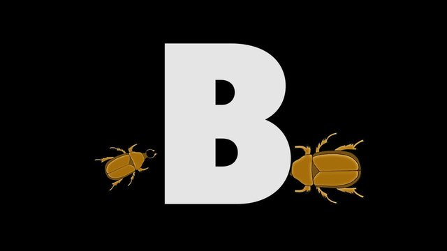 Letter B and Beetle (background)
Animated animal alphabet. HD footage with alpha channel. Animal in a background of letter