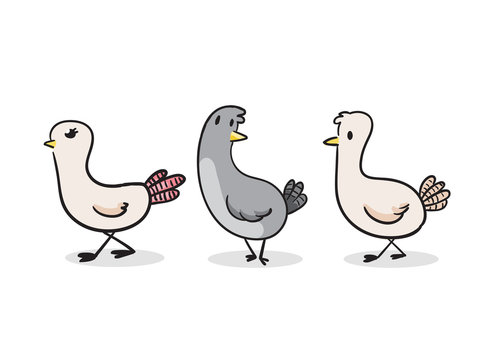 Cute Pigeon vector illustration