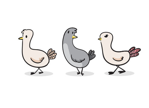 Cute Pigeon vector illustration