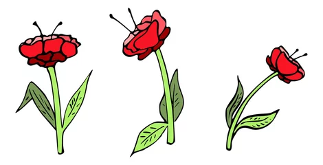 Foto op Canvas Illustratie van rode bloemen © emieldelange