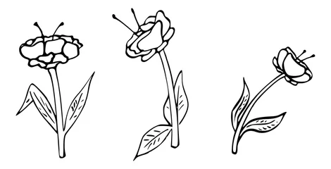 Tapeten Illustratie van zwart wit bloemen © emieldelange