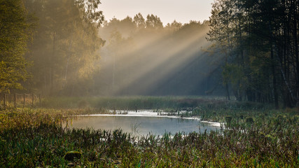 Leśny staw © podlaski49