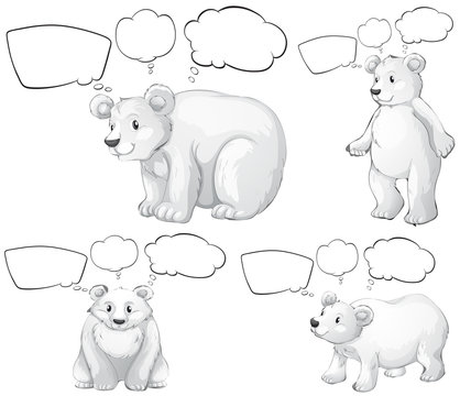 Polar bear and speech bubbles