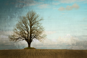 Grunge lonely tree in a field landscape