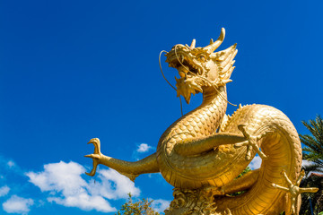 Fototapeta premium Powerful Golden Dragon statue