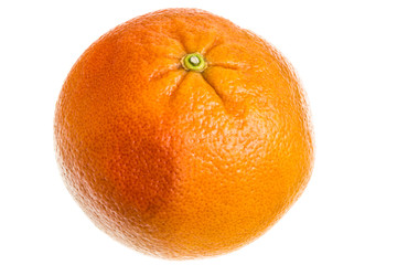 Грейпфрут на белом фоне