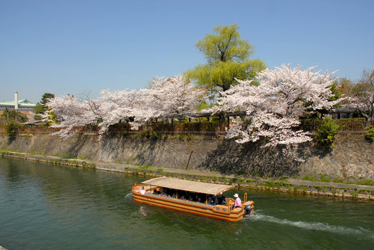 春の岡崎公園