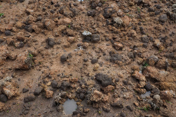 wet soil texture