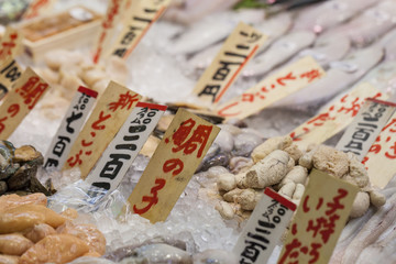 Tsukiji Fish Market, Japan.