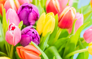 Bunter Tulpenstrauß Blütenblätter Frühling