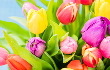 Frühlingszeit Tulpen