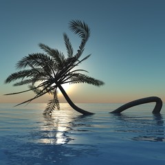 palm tree at sunset in the ocean, palm tree in the sea, sea sunset