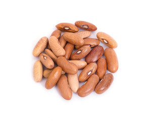 cranberry bean