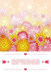 Hand drawn spring lettering