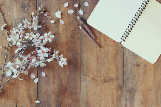 top view image of spring white cherry blossoms tree, open blank notebook  next to wooden colorfull pencils on wooden table. vintage filtered and toned image
