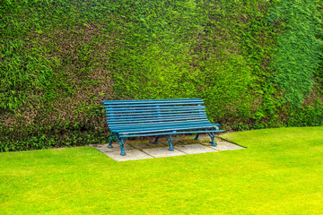 Green garden bench with green grass in the springtime