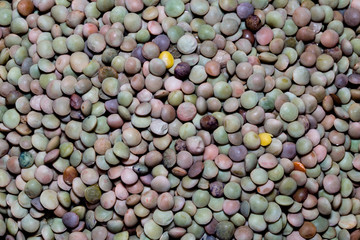 Raw lentil background