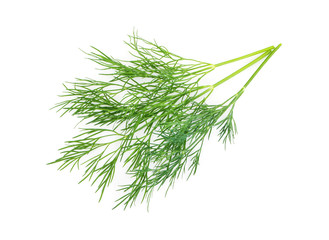 Green dill isolated on white background. Studio macro