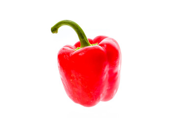 Organic big red ripe fresh bell pepper capsicum isolated on whit