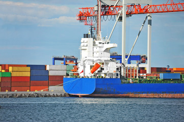 Cargo crane and ship