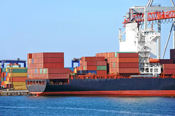 Cargo crane and ship