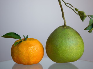 jumbo orange and pomelo