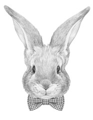 Portrait of Rabbit with bow tie. Hand drawn illustration.