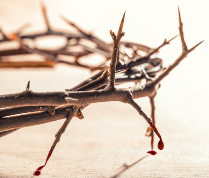 Crown of thorns with blood dripping. Christian concept of suffer