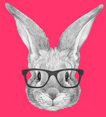Portrait of Rabbit with glasses. Hand drawn illustration.