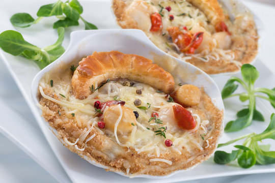 Coquilles saint Jacques gratin&eacute;s