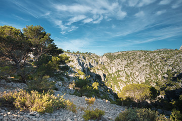 Beautiful nature of Calanques on the azure coast of France. High