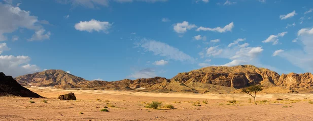 Deurstickers Sinai desert landscape © Kotangens