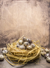 Obraz premium Fresh quail eggs in the nest border place for text on wooden rustic background top view close up
