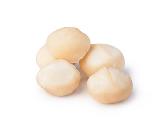 Macadamia nuts