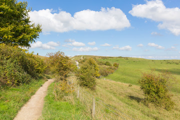 Fototapeta na wymiar Countryside path to Ivinghoe Beacon Chiltern Hills Buckinghamshire England UK English countryside 